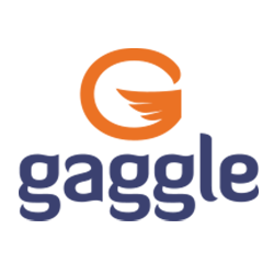 Gaggle logo on translucent background